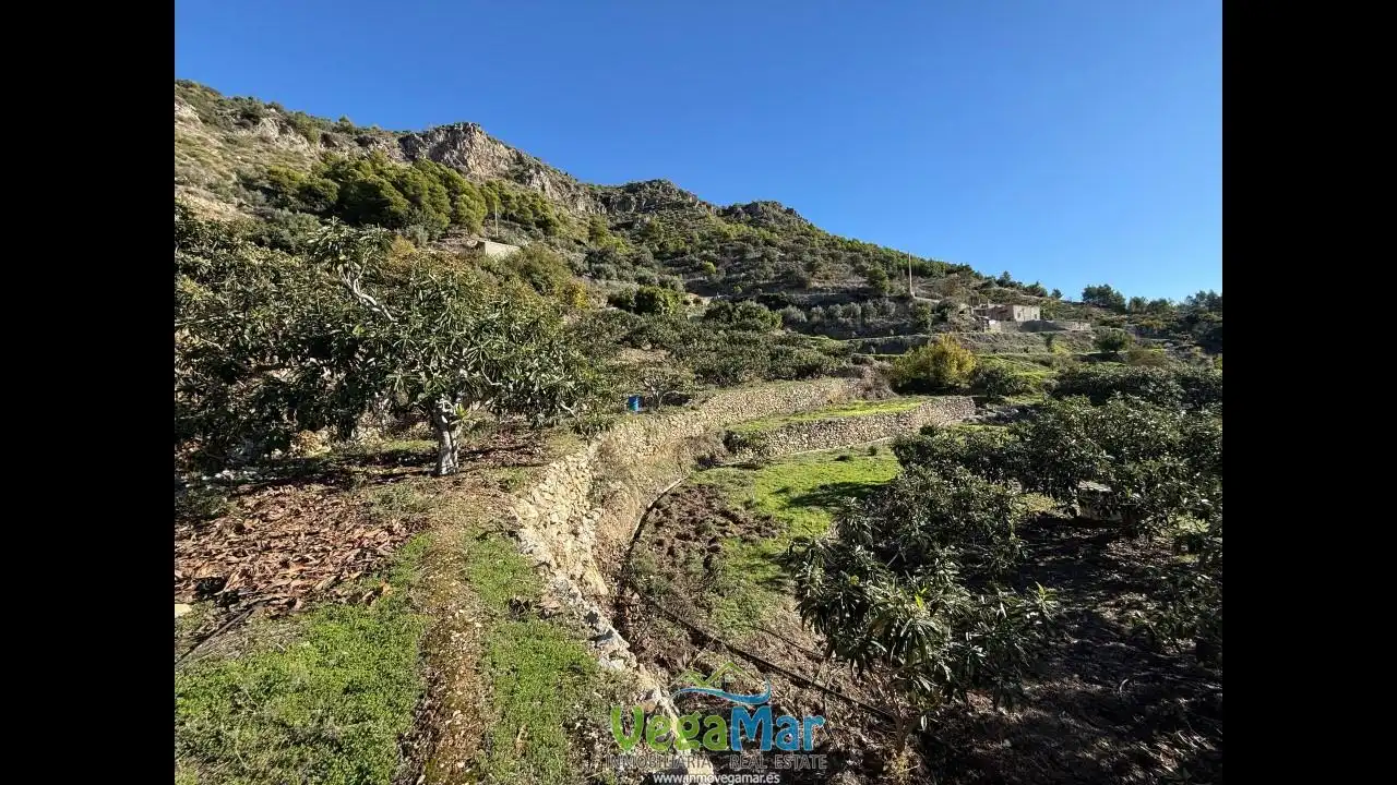 Finca rústica en venda en Otívar amb Jardí privat, Terrassa i Piscina
