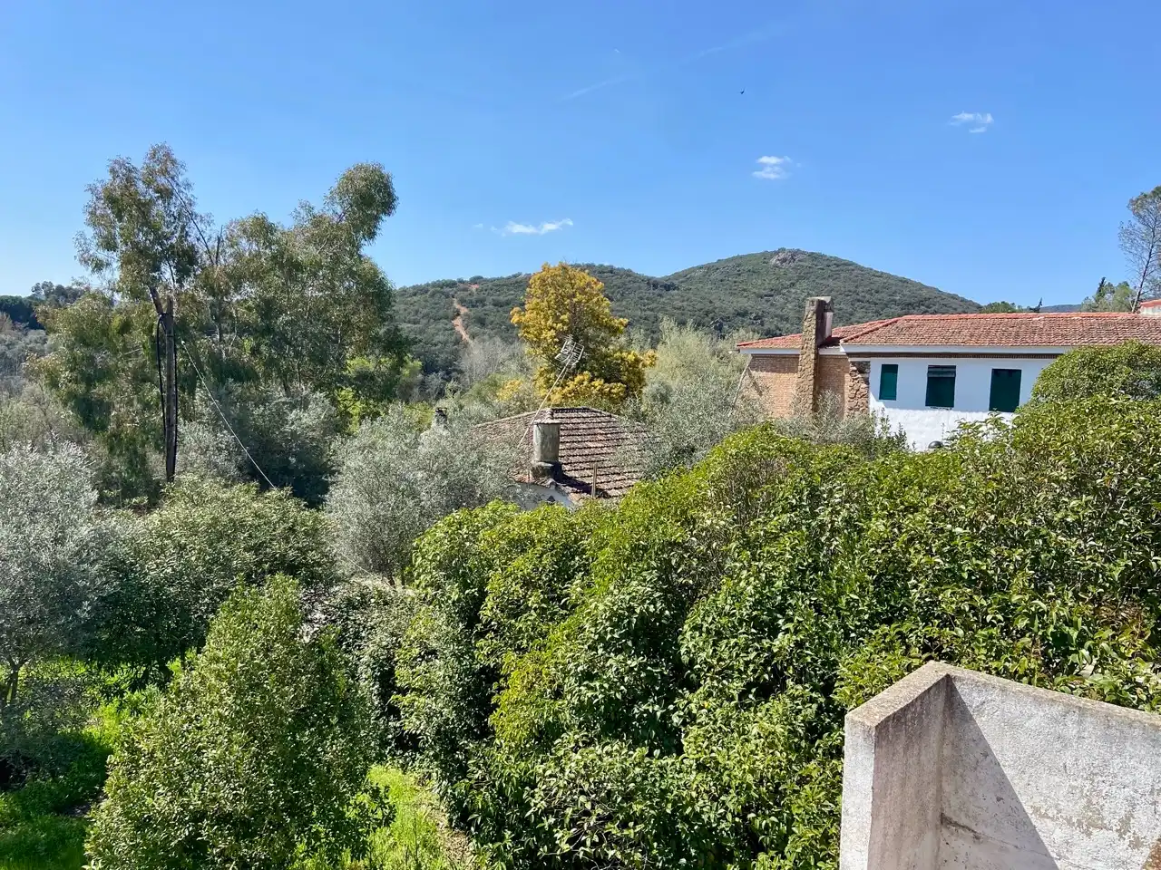 Villa con piscina in vendita a Avenida Yedra, imagen 11
