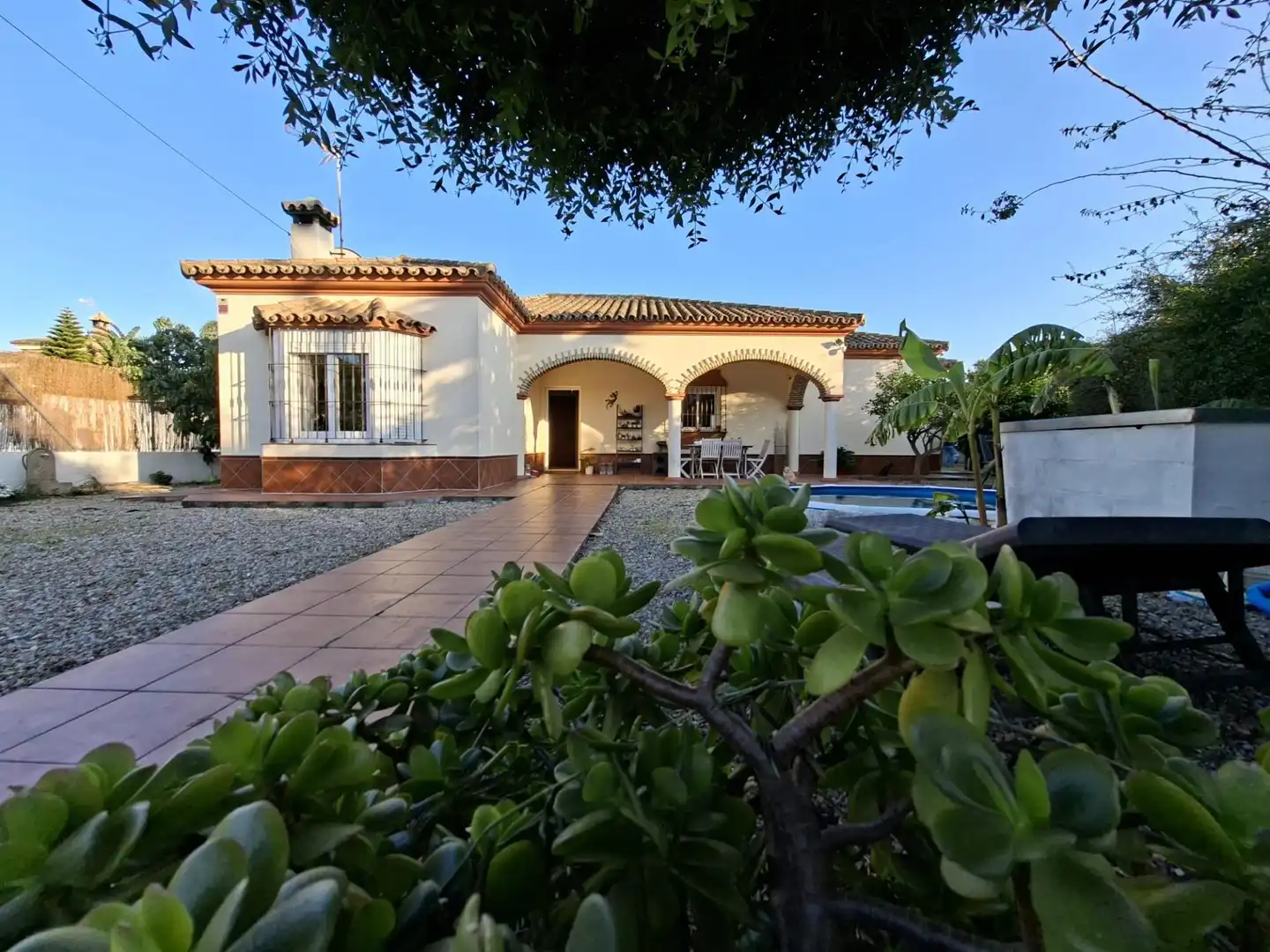 Vista exterior de Casa o xalet en venda en Chiclana de la Frontera amb Jardí privat