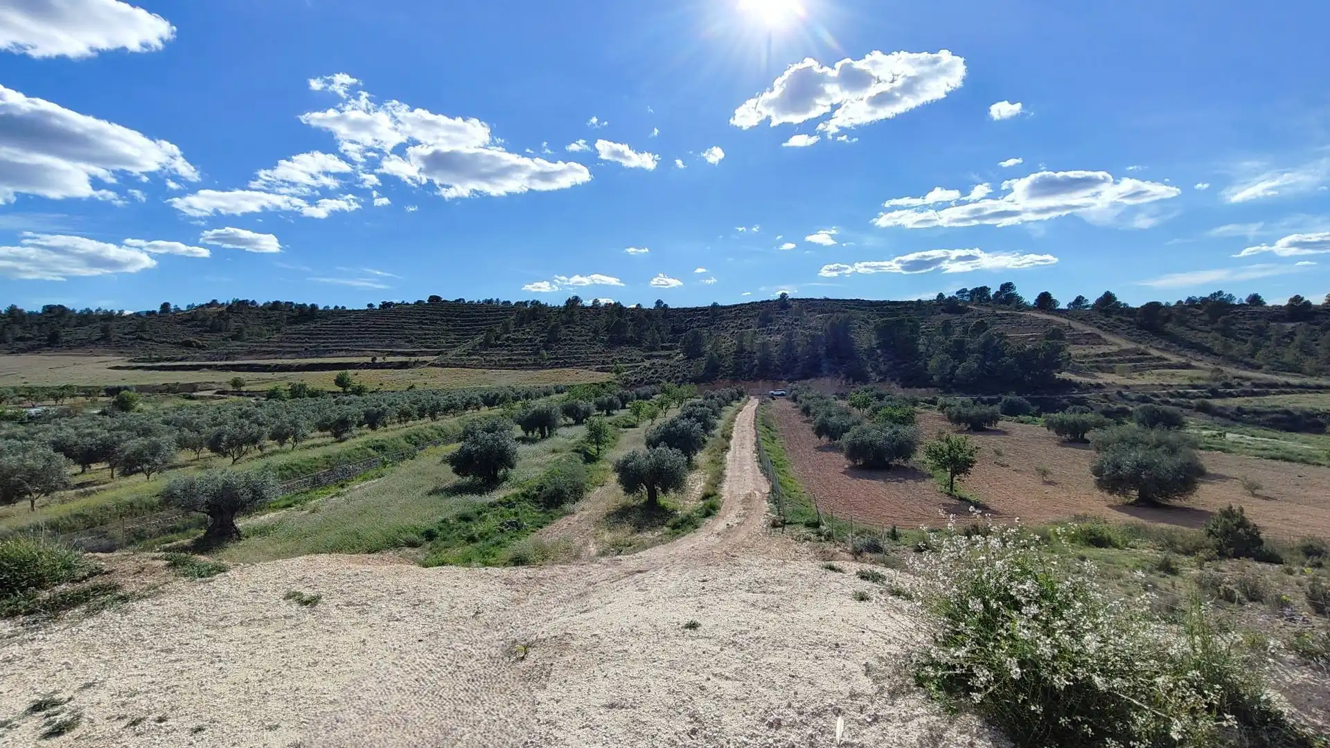 Grundstücke zum Verkauf in Jumilla