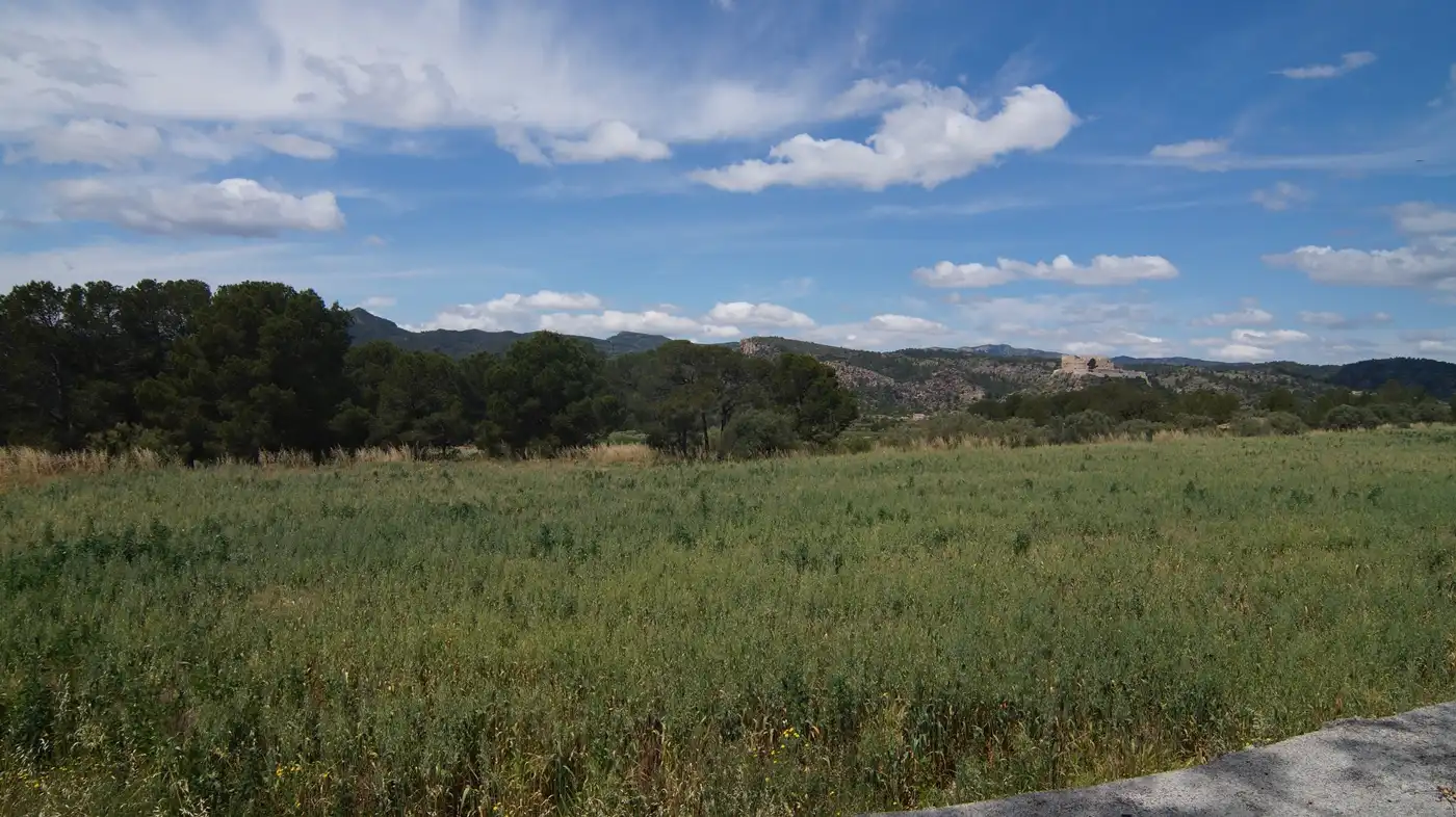 Terreno en venta en Ginestar