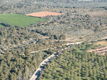 Terrain rustique à vendre à San Jorge / Sant Jordi