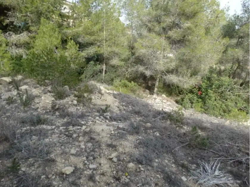 Lands and plots for sale in Olivella, imagen 4