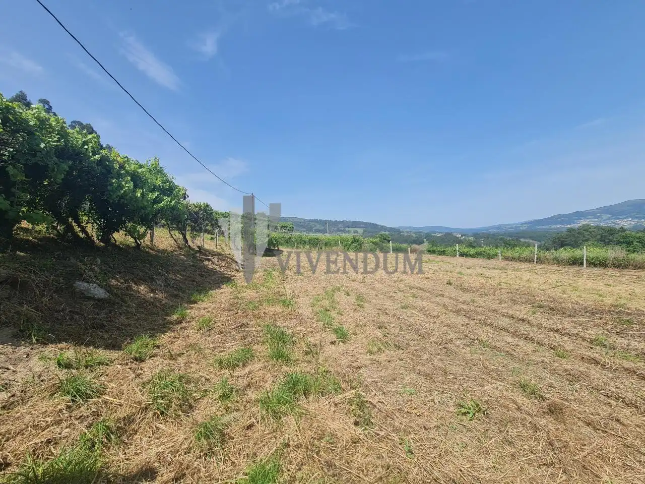 Rural land for sale in Arbo, imagen 12