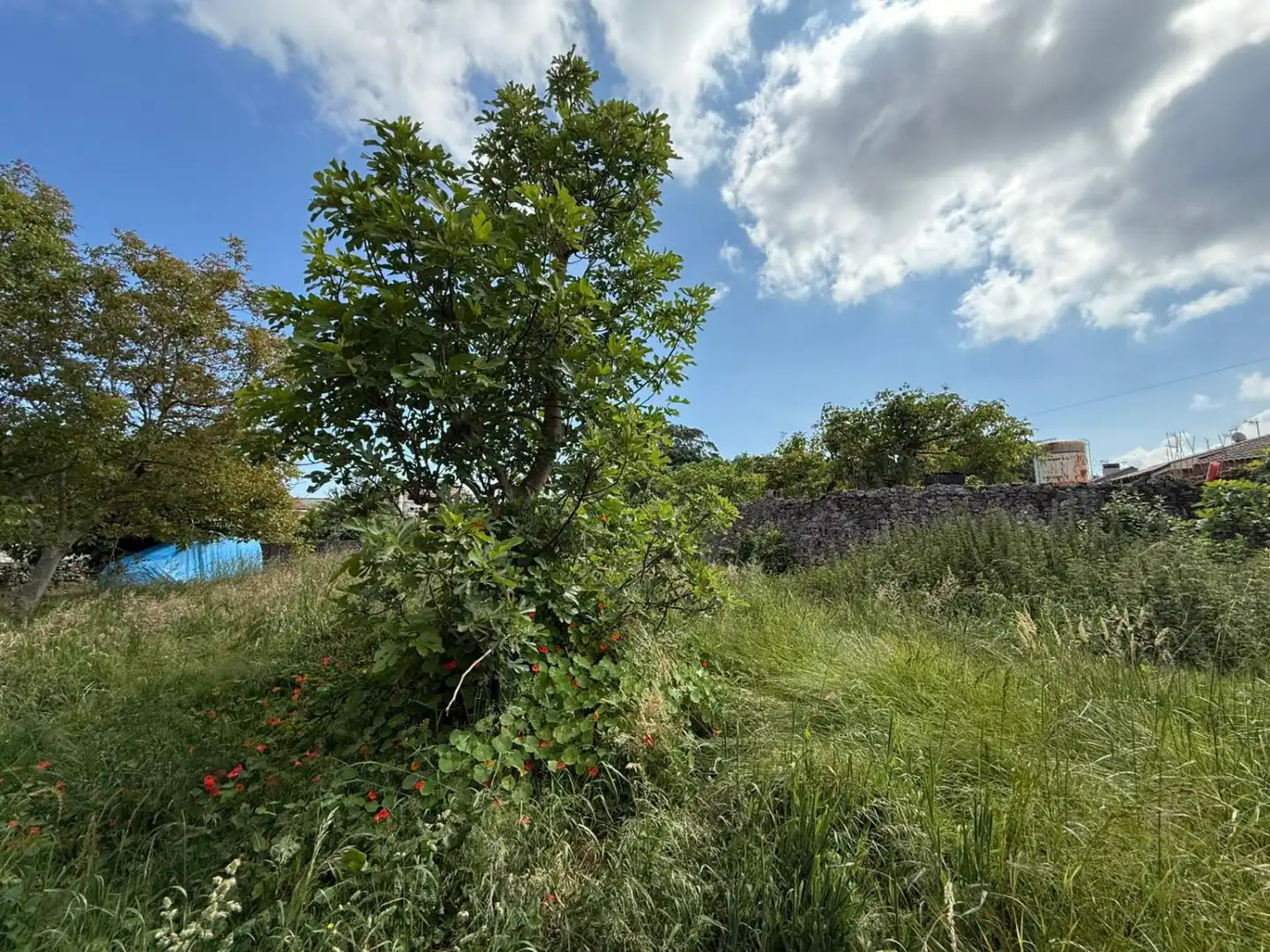 Casa o xalet en venda en Noja amb Jardí privat, Terrassa i Balcó