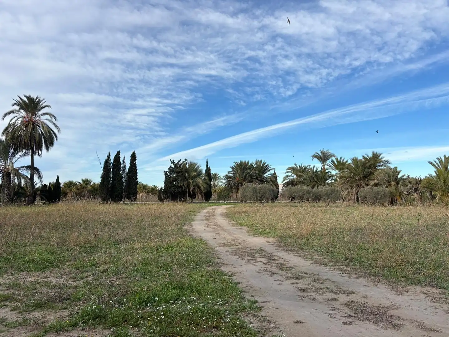 Finca rústica en venda en Elche / Elx
