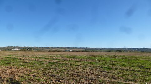 Foto 3 de Terreno en venta en Cebolla, Toledo