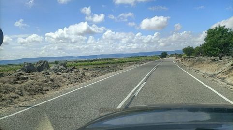 olivar cerca de mora , immagine 3