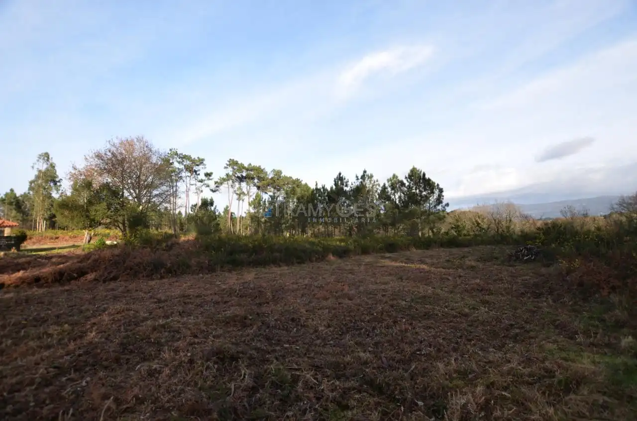 Terreno rustico in vendita a CARREGAL ABAIXO, imagen 2