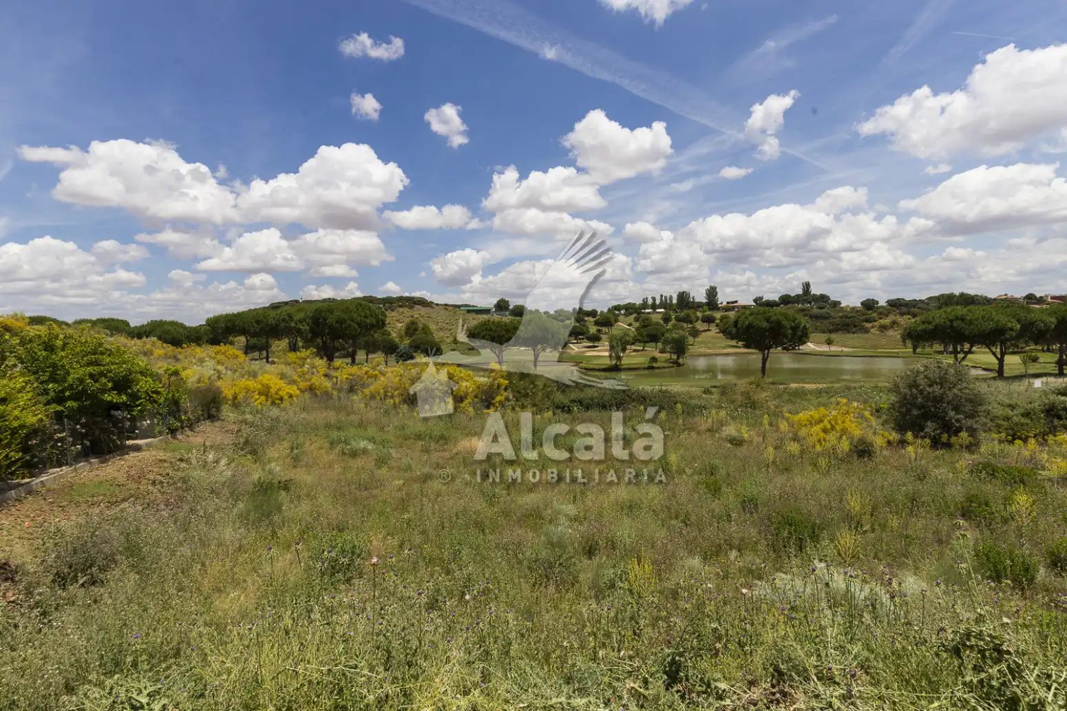 Terreny rústic en venda a Cabanillas del Campo, imagen 15