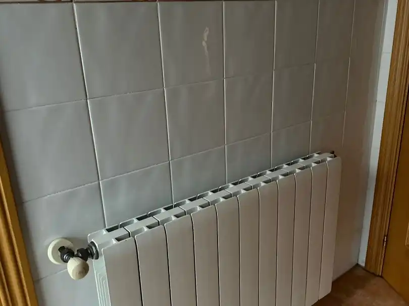 Bany de Casa o xalet en venda en La Planilla