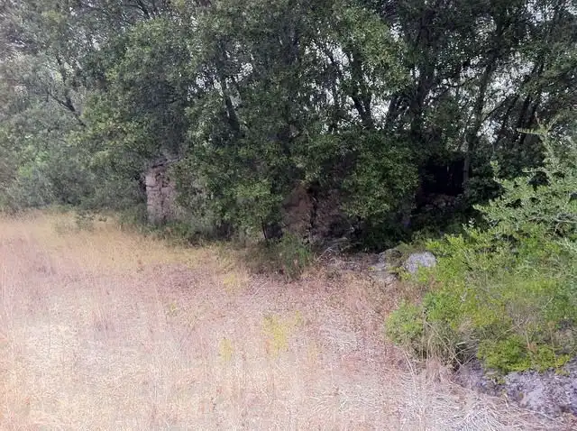 Terreno rustico in vendita a Pollença Poble, imagen 6