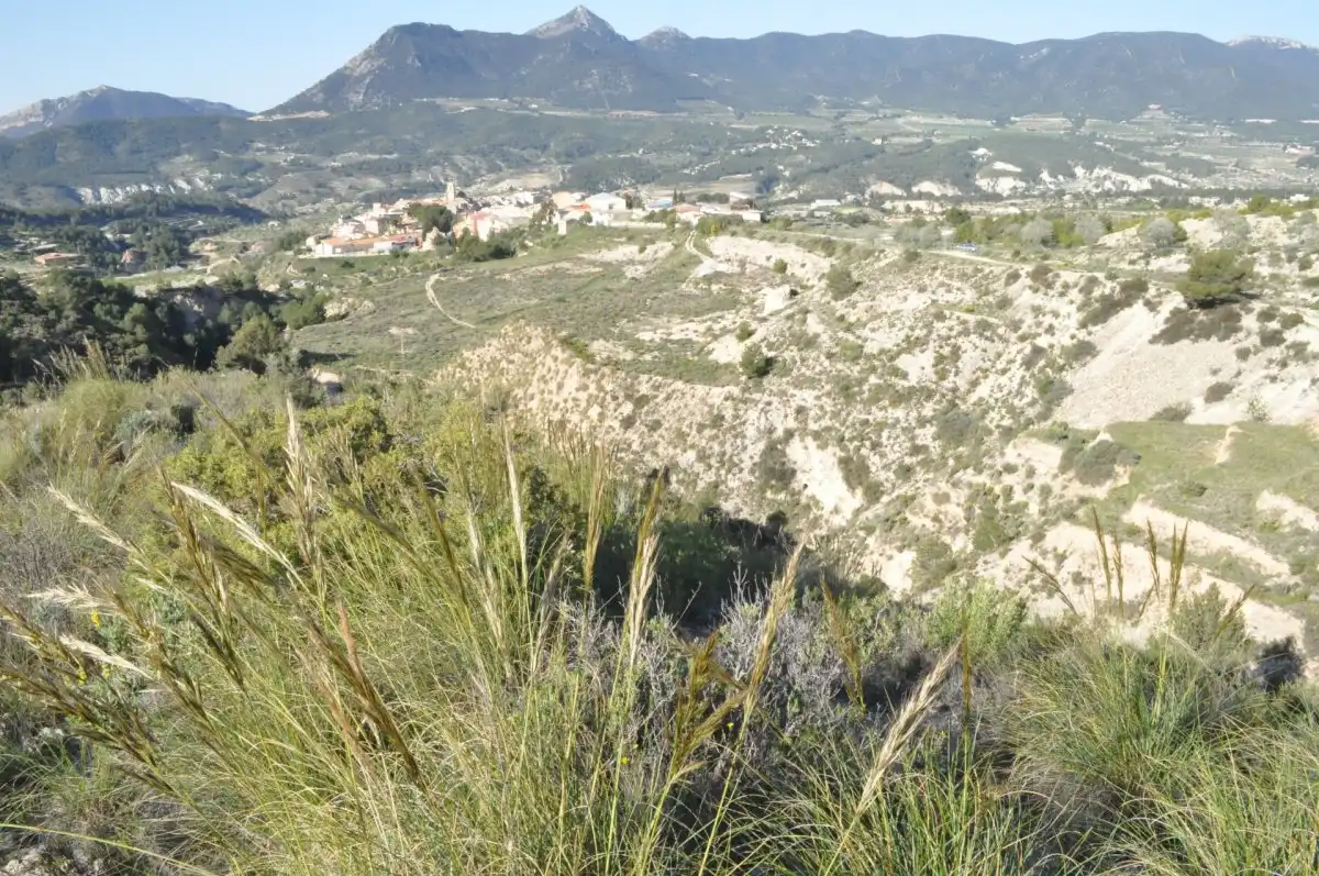 Terreno industrial en venta en Tibi