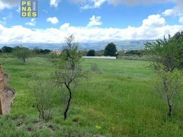 Terreno residencial en venta en El Pilar