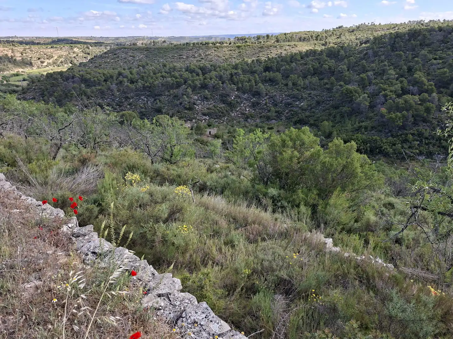 Finca rústica en venta en Vilalba dels Arcs
