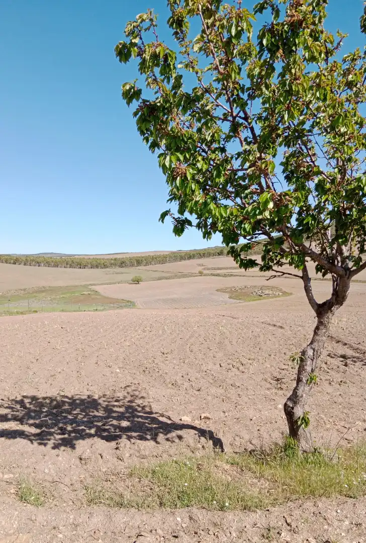 Finca rústica en venda en Velefique amb Moblat
