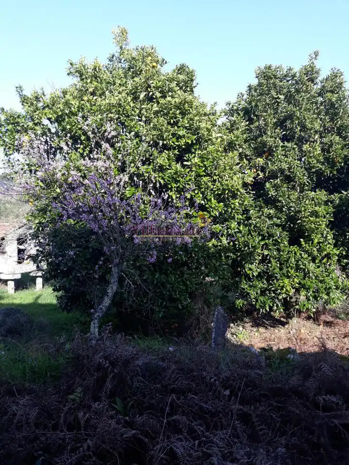 Maison avec jardin à vendre à Crecente, imagen 9