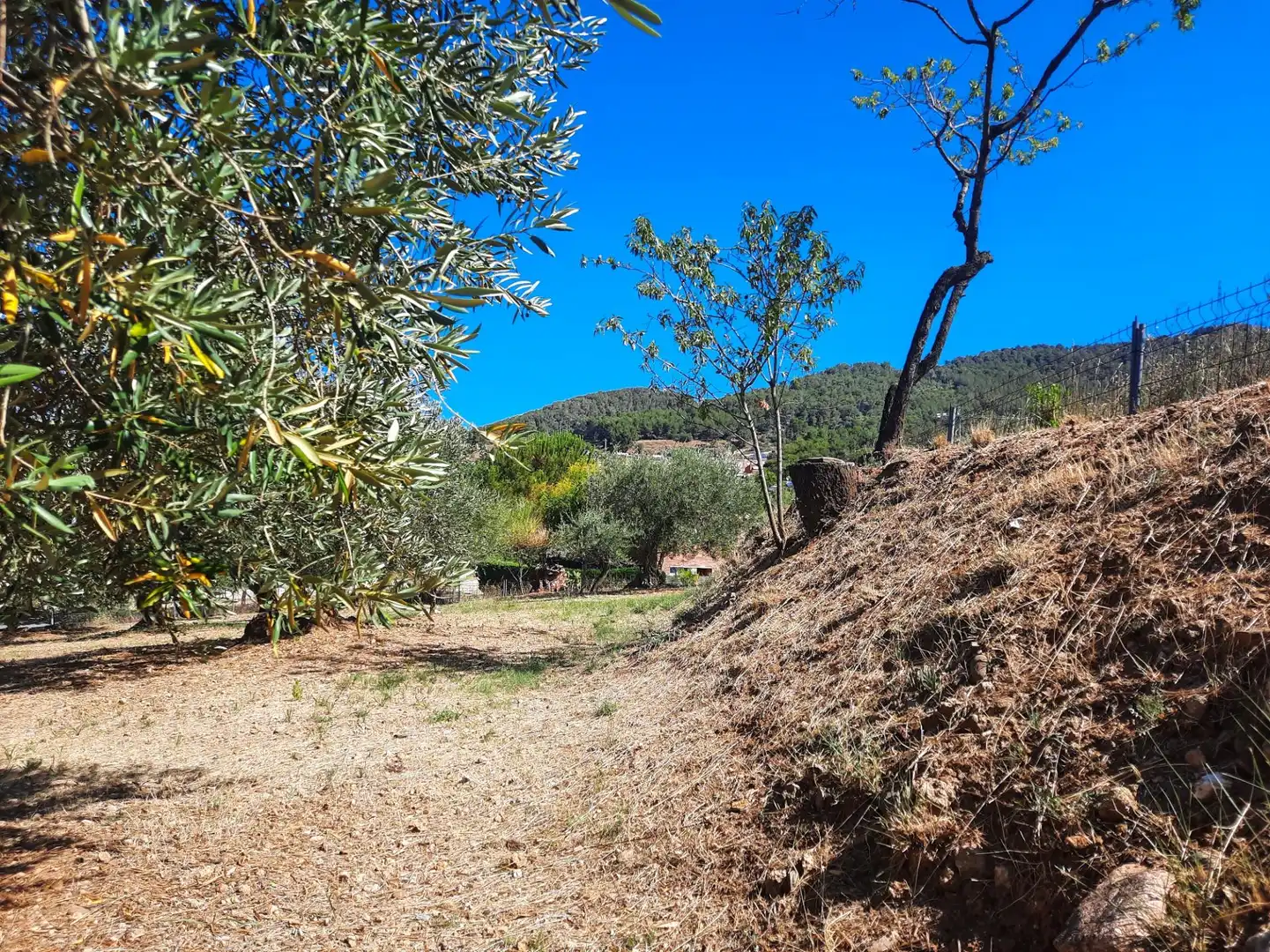 Terreno residencial en venta en Carrer Carrer del Cirerer 13, imagen 7