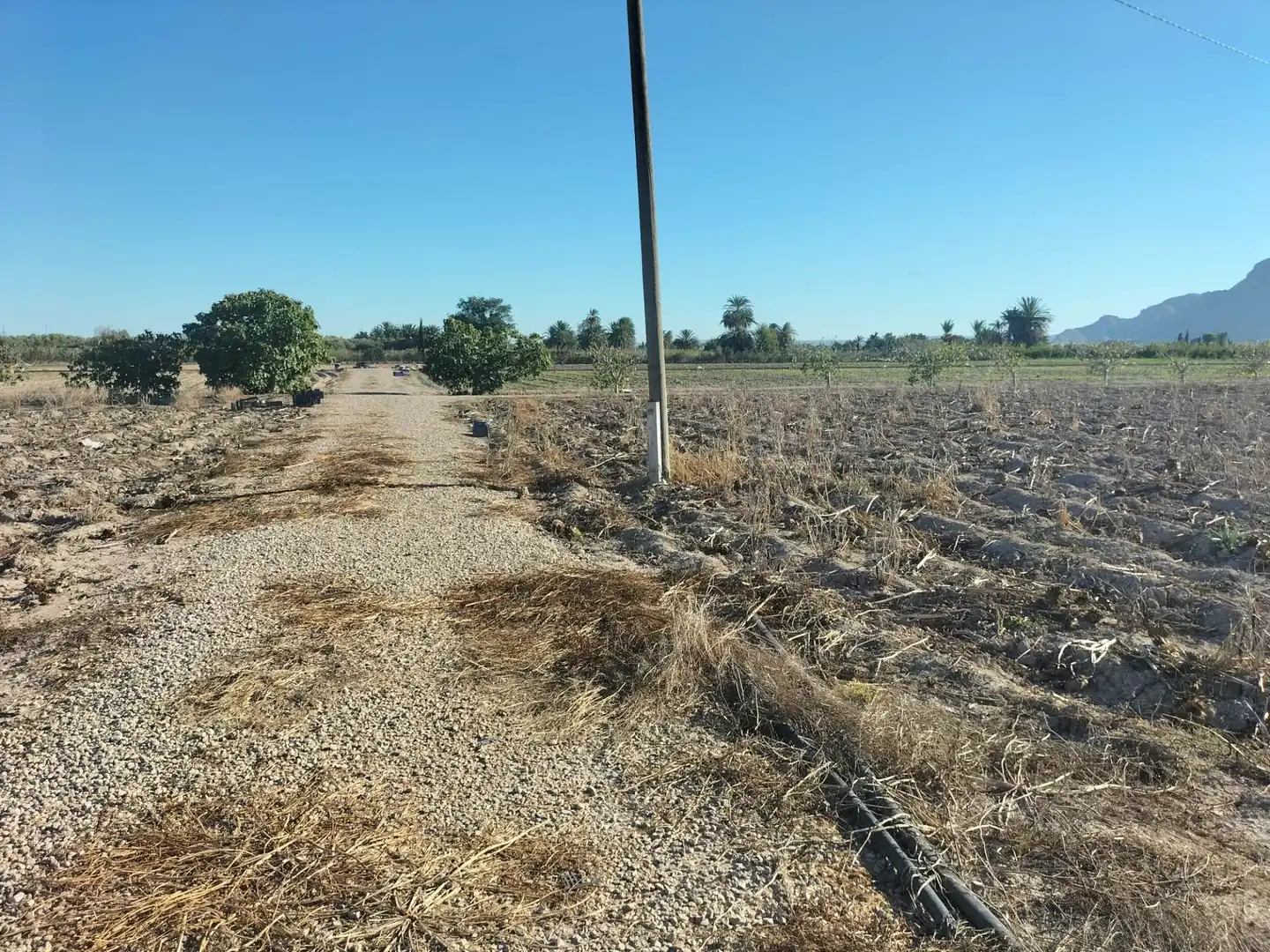 Casa rústica en venda a Granja de Rocamora, imagen 26