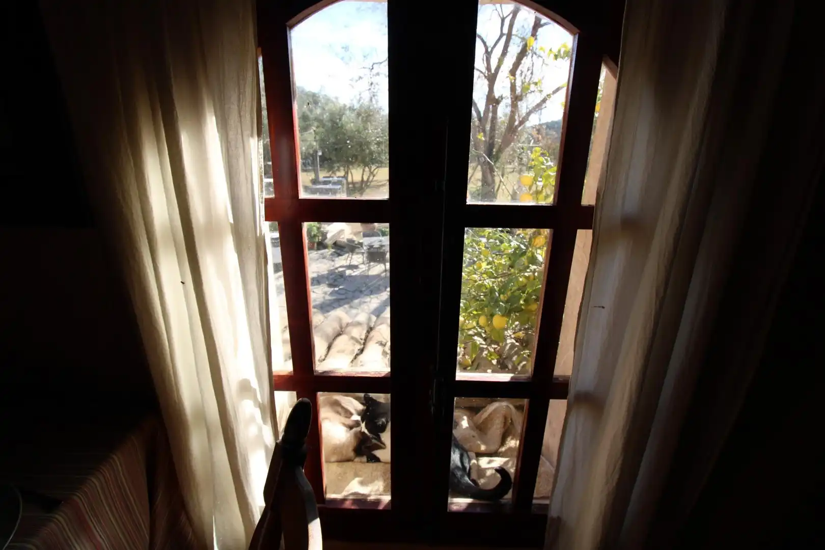 Villa avec jardin à vendre à Tibi, imagen 2