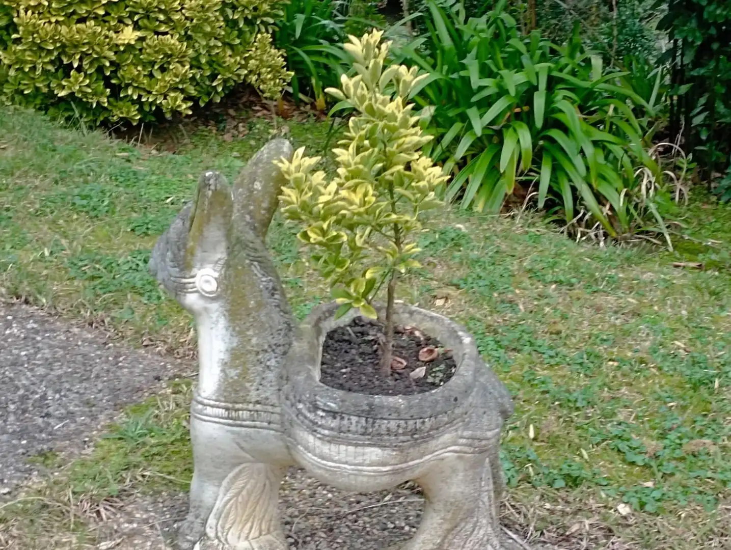 Garten von Country house zum Verkauf in Gijón  mit Klimaanlage, Privatgarten und Terrasse