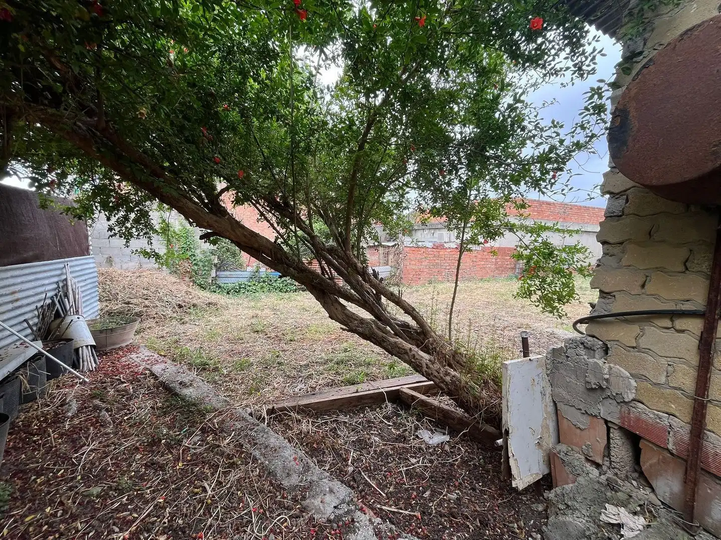 Grundstücke und Bauplätze zum Verkauf in La Granja - La Colina - Los Pastores, imagen 18