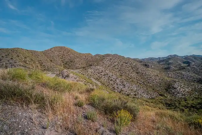 Terreno rustico in vendita a Paraje Collados de las Hormigas, Cumbre de los Collados, Sector 1, imagen 9