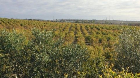 Foto 3 de Terreno en venta en Parque Atlántico - Ronda este, Jerez de la Frontera