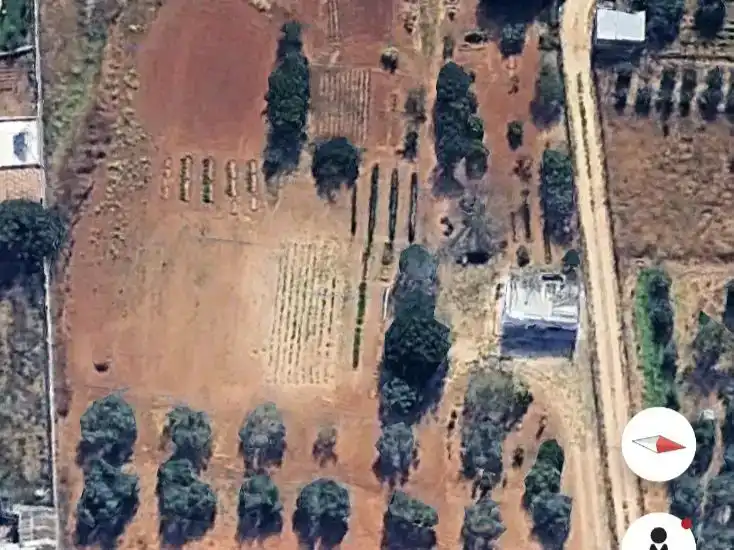 Finca rústica en venda en Puerto Real