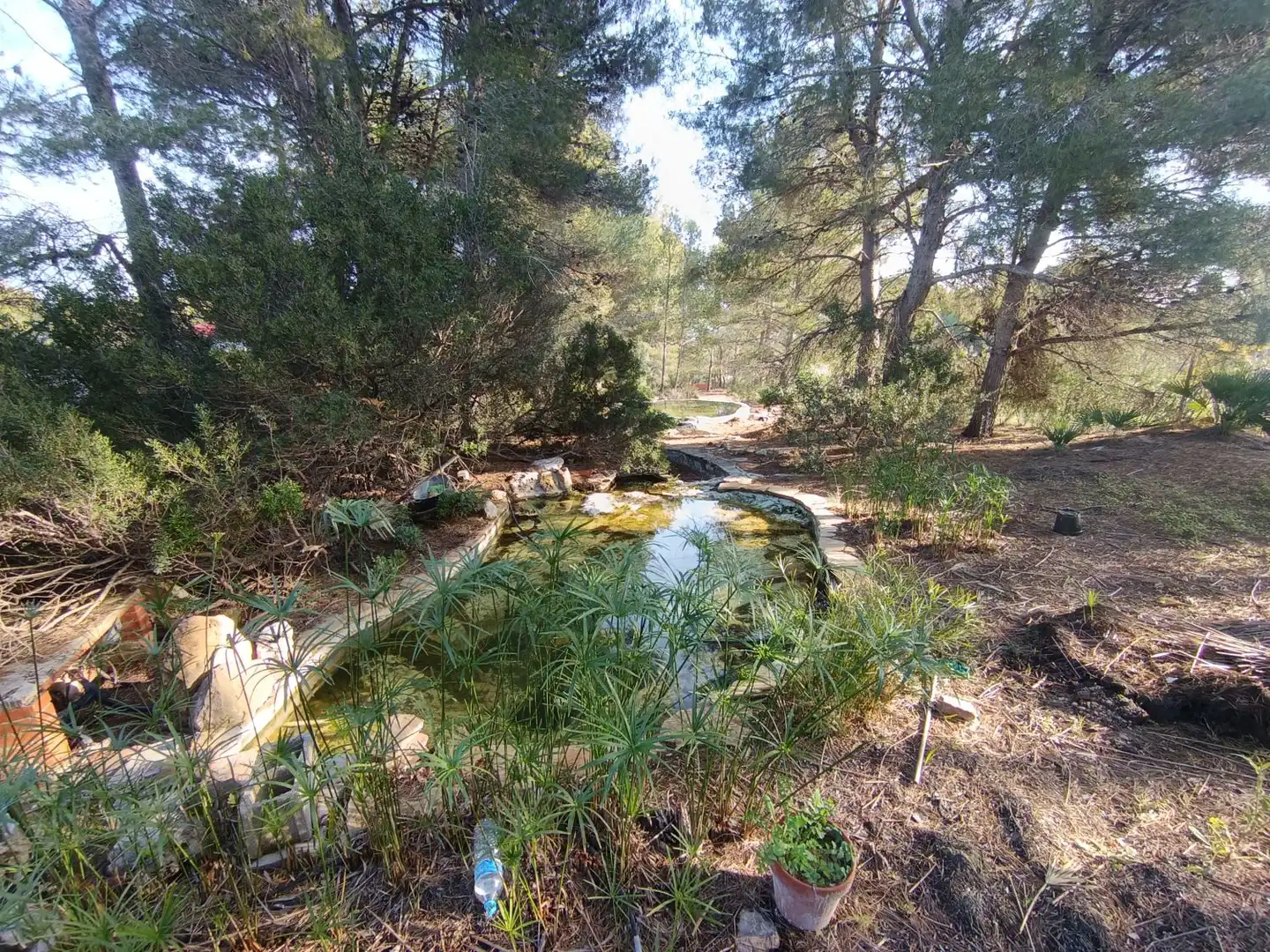 Jardí de Casa o xalet en venda en Bétera amb Piscina
