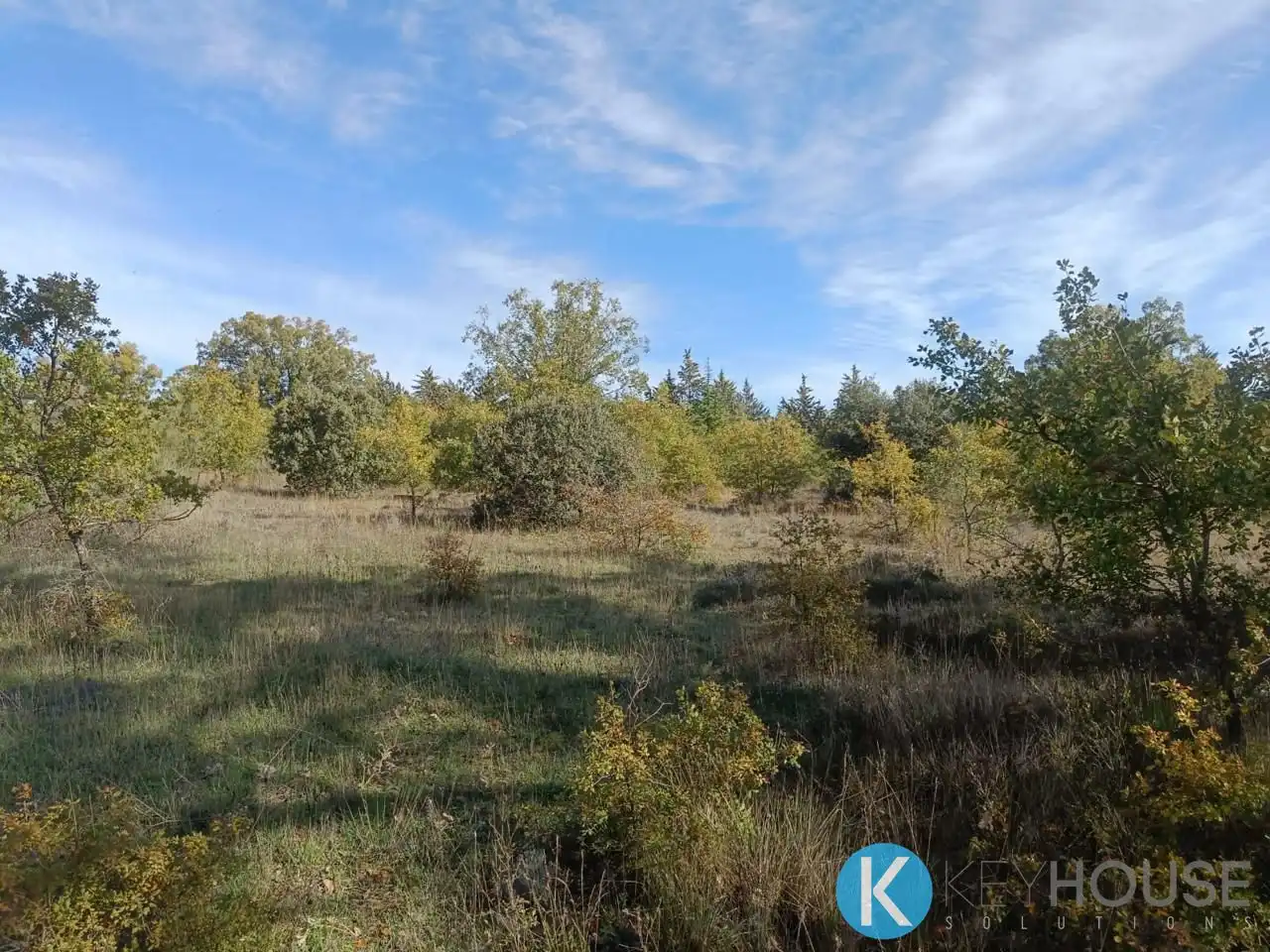 Land for sale in Pastrana