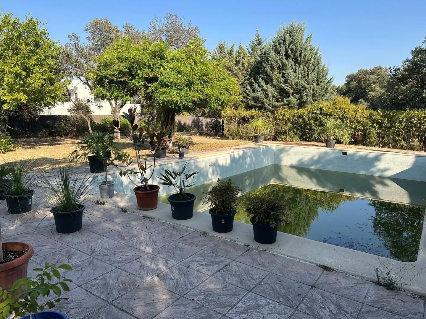 Schwimmbecken von Residential zur Miete in Villanueva de la Cañada