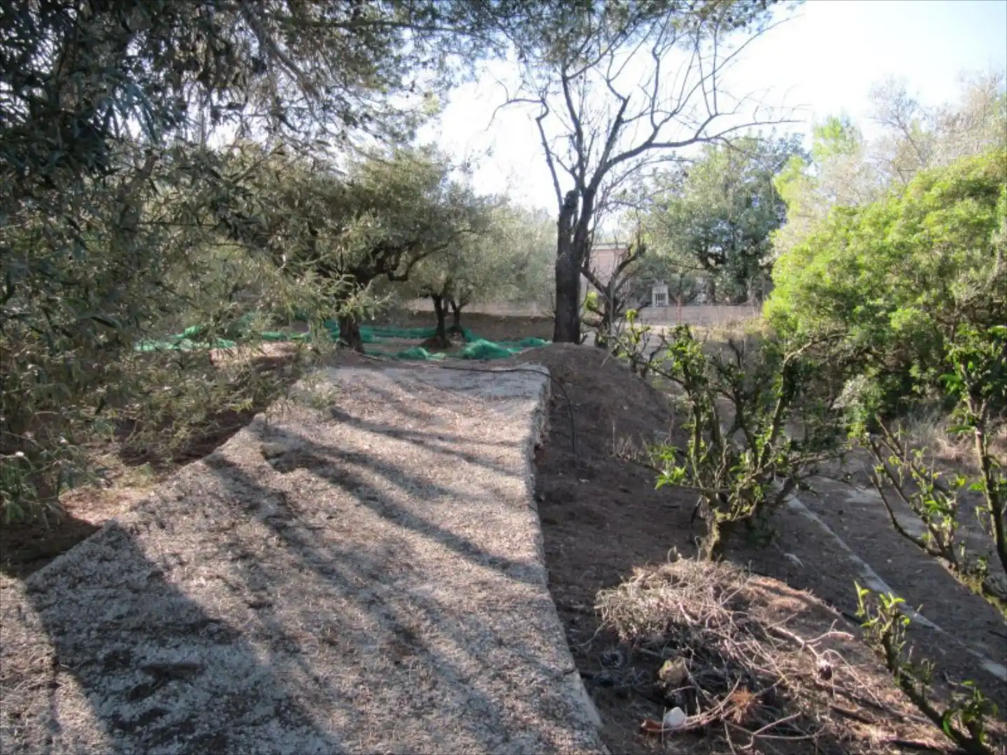 Residential for sale in Barxeta