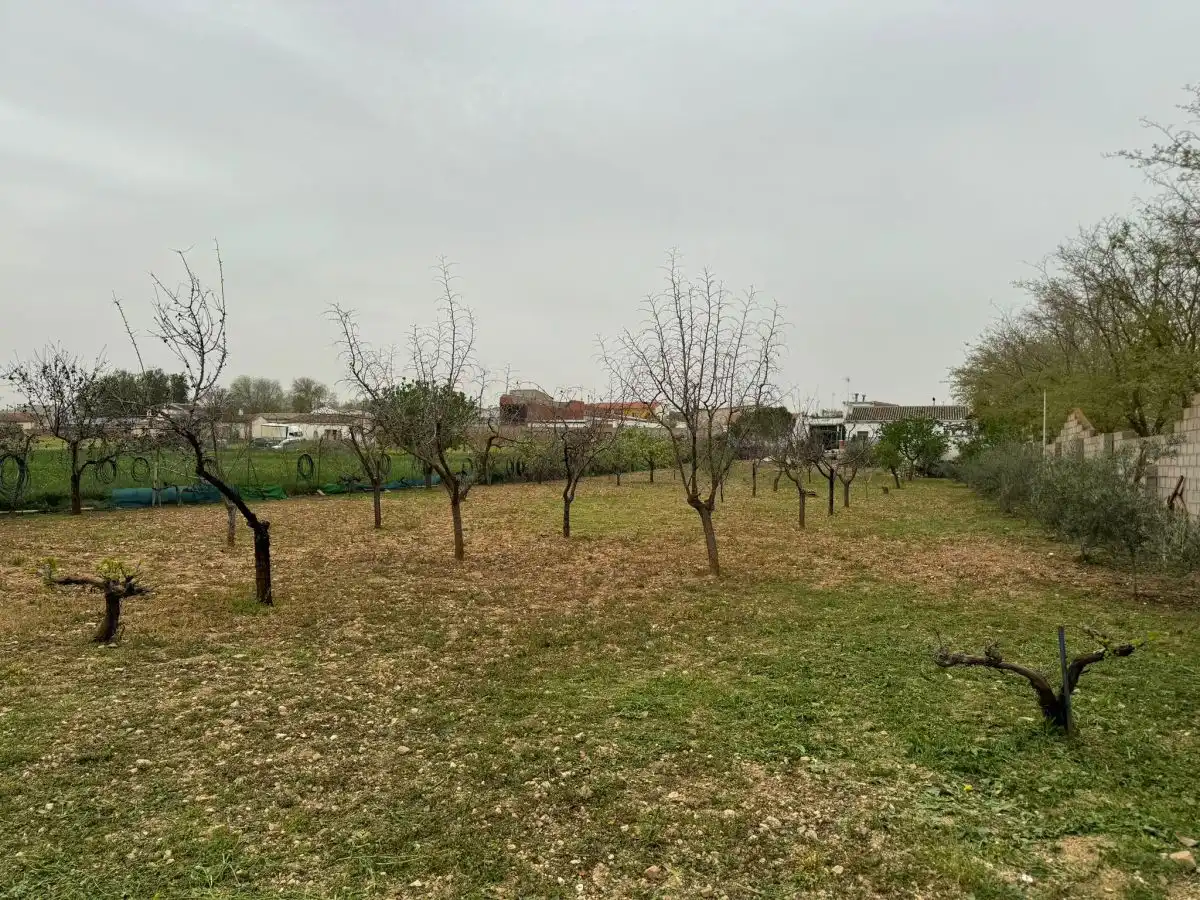 House with pool for sale in Valdepeñas, imagen 42
