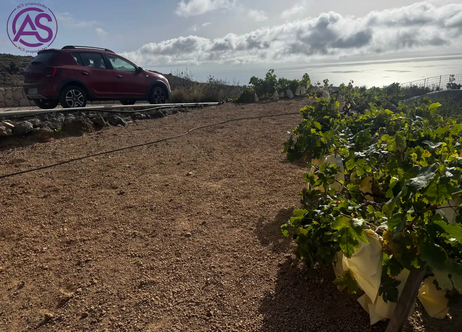 Terreno en venta en Fasnia