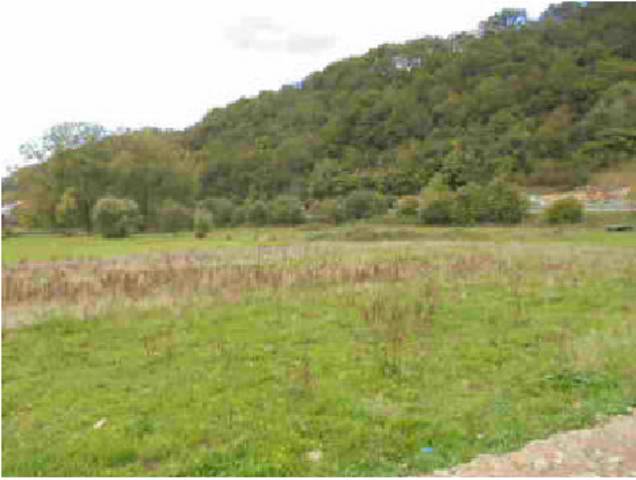 Terreno en Venta en Cangas de Onís
