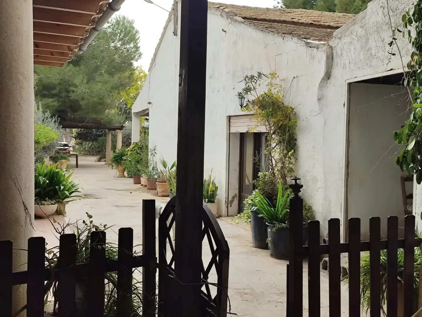 Vista exterior de Casa o xalet en venda en Elche / Elx amb Jardí privat i Moblat