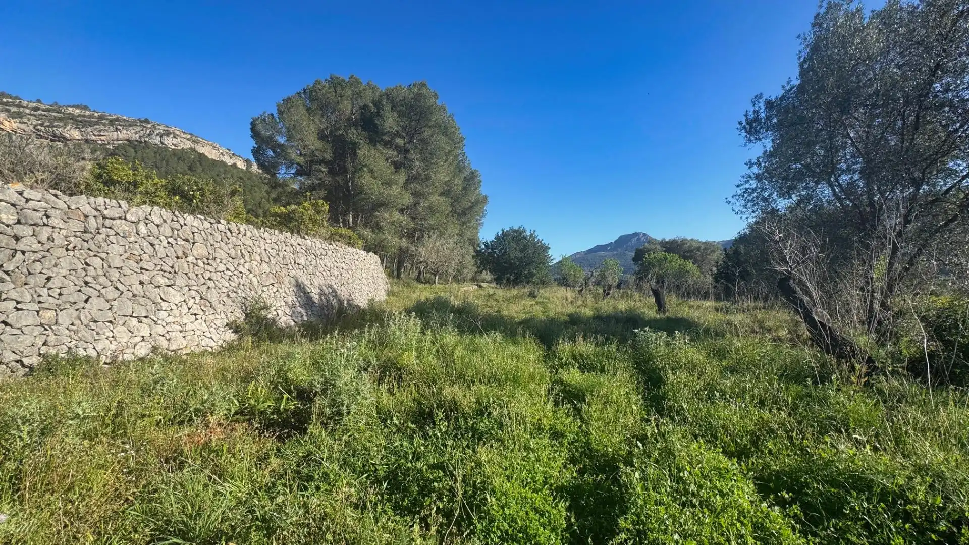 Terrenys i solars en venda a Murla, imagen 5