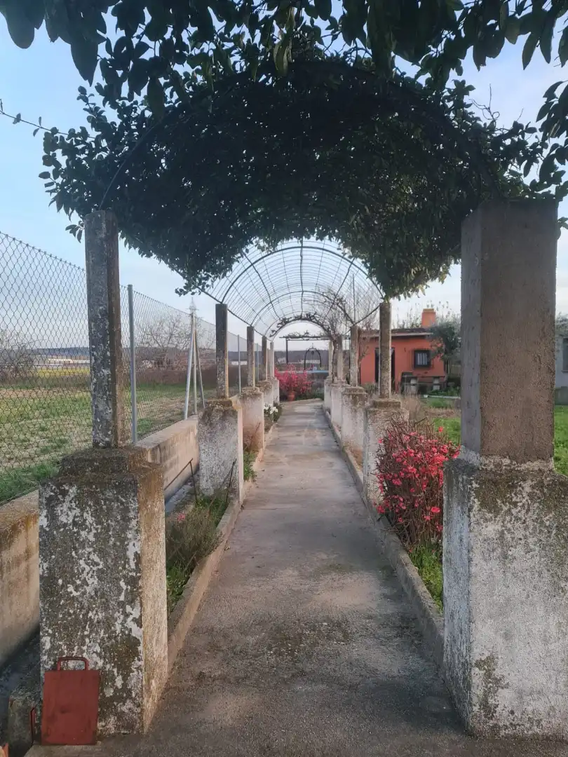 Terreni e lotti in vendita a Patrocinio - Nueva Talavera