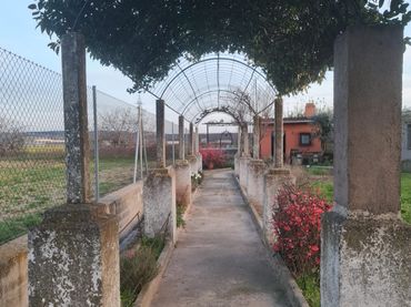 Terreno rustico in vendita a Patrocinio - Nueva Talavera