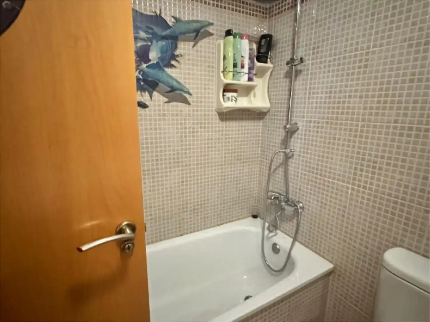 Bany de Pis en venda en Deltebre amb Aire condicionat, Jardí privat i Traster