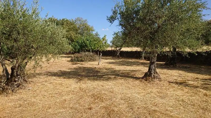 Terreni e lotti in vendita a Tejeda de Tiétar, imagen 13