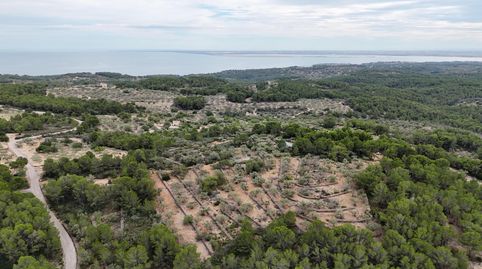 Casa Rústica en El Perelló  Un Refugio Natural con Encanto Mediterráneo