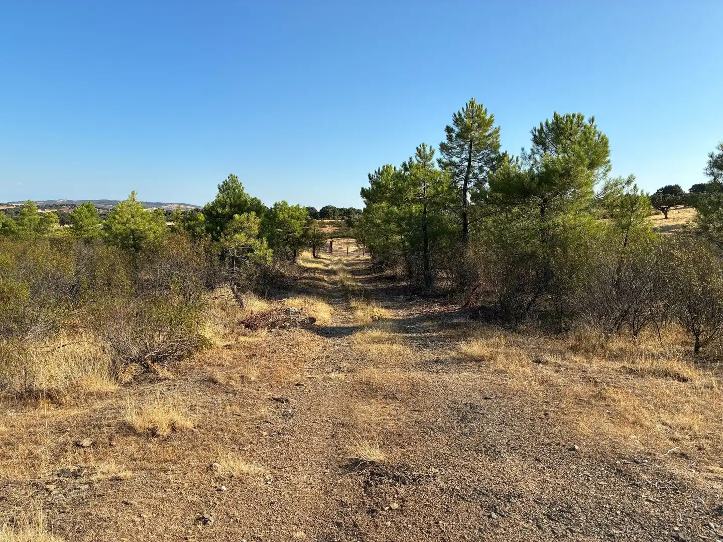 Rural land for sale in Puerto de San Vicente, imagen 9
