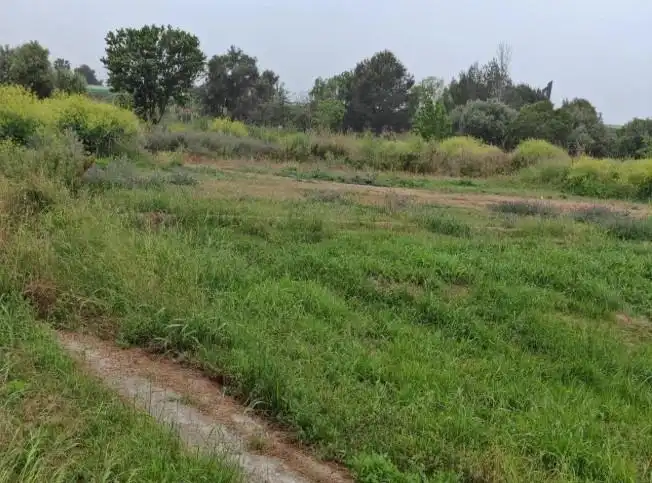 Terreny rústic en venda a Cullera 19, imagen 2