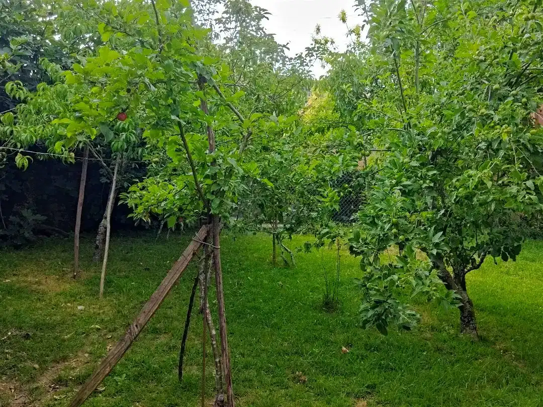 Jardí de Casa o xalet en venda en Dodro, A Coruña