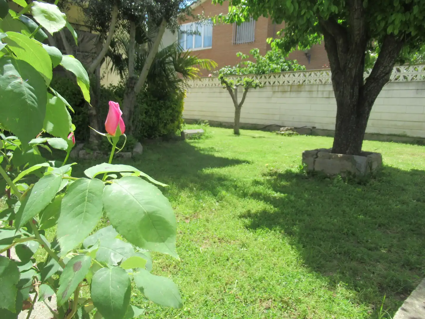 Jardín de Casa o chalet en venta en Camarma de Esteruelas con Calefacción, Jardín privado y Terraza