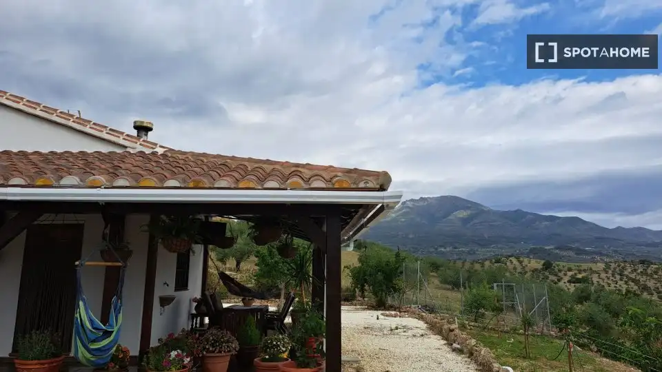 Room in Alozaina