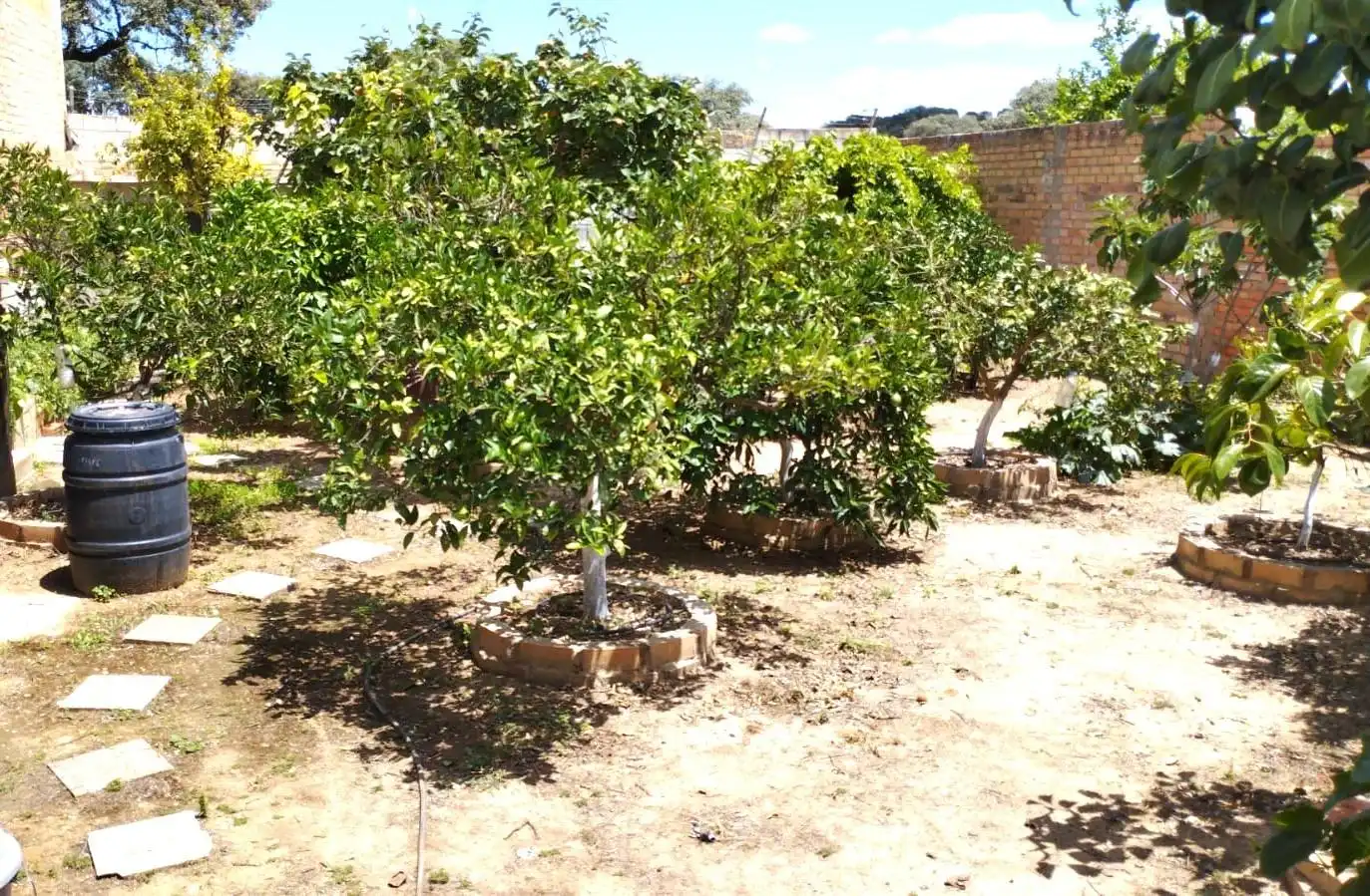 Terreni e lotti in vendita a Gerena
