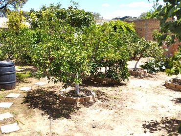 Terrenys i solars en venda a Gerena